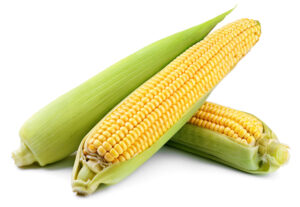 corn-on-the-cob