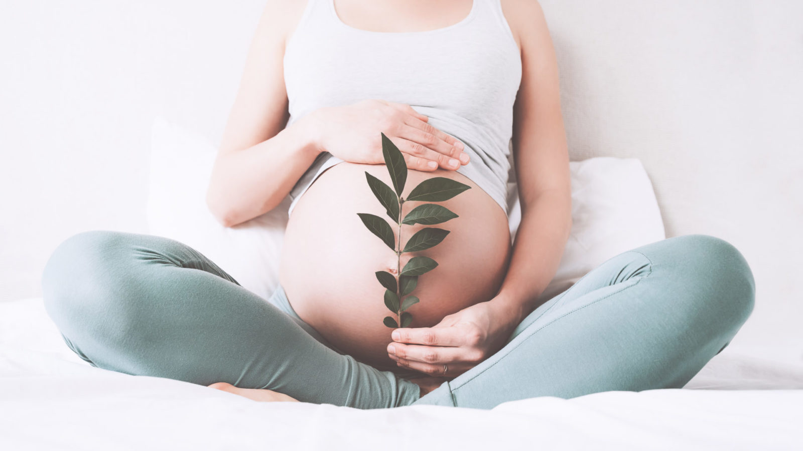 pregnant-woman-holding-leaf