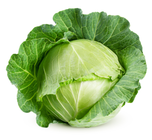 baby-is-the-size-of-a-cabbage-week-36